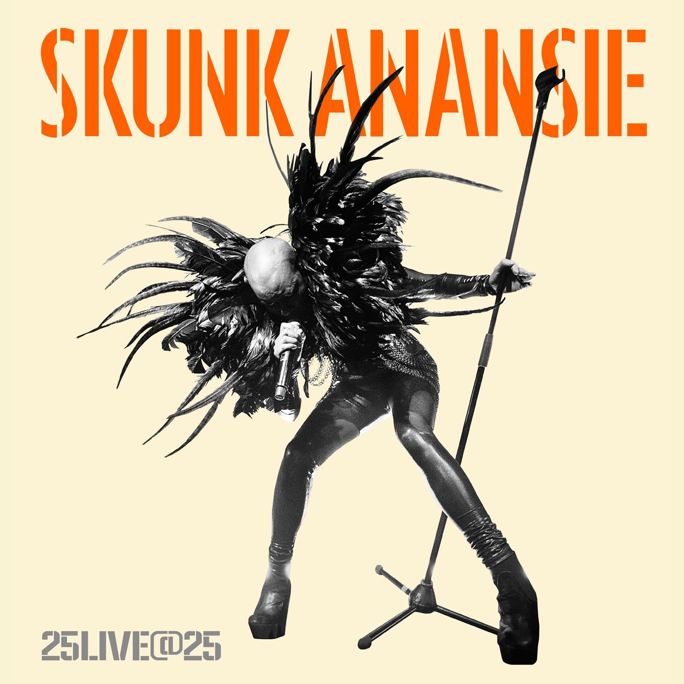 Skunk Anansie